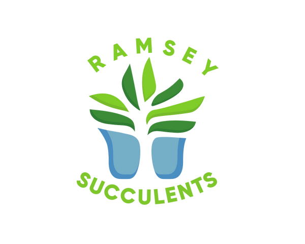 Ramsey Succulents